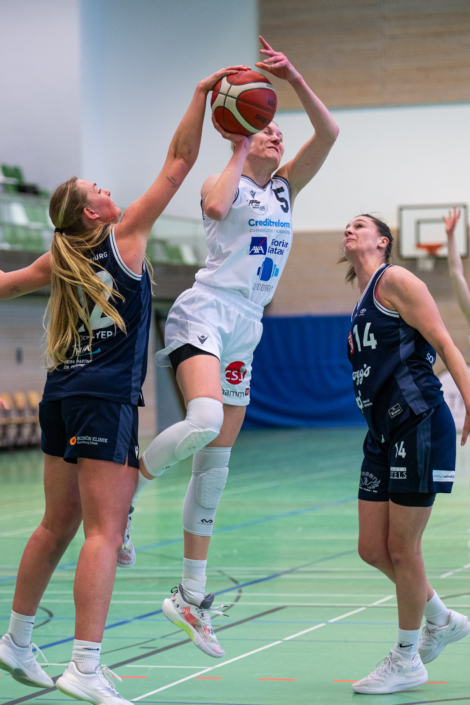 2. DBBL Nord 25/26 | Spieltag 21 | BBC Osnabrück vs. ETV Hamburg